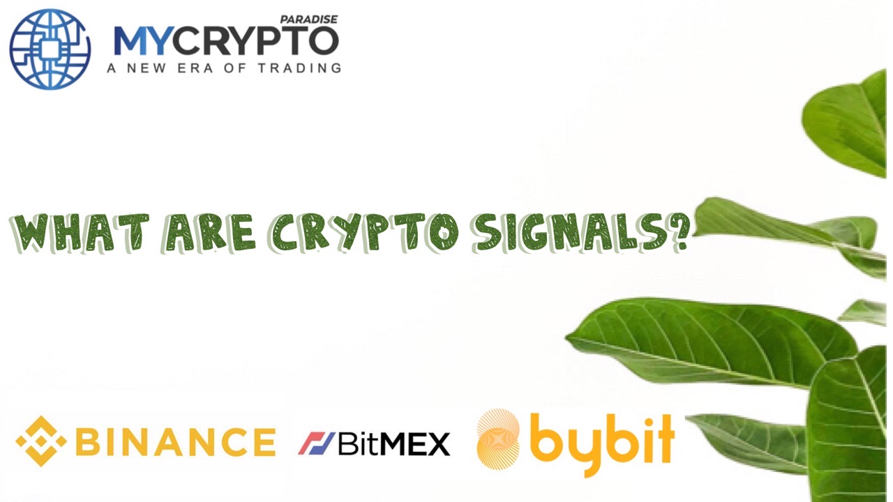 Crypto Signals Provider