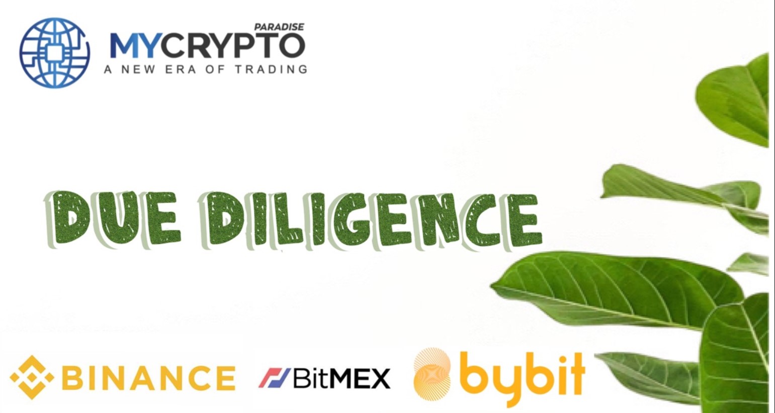 crypto due diligence