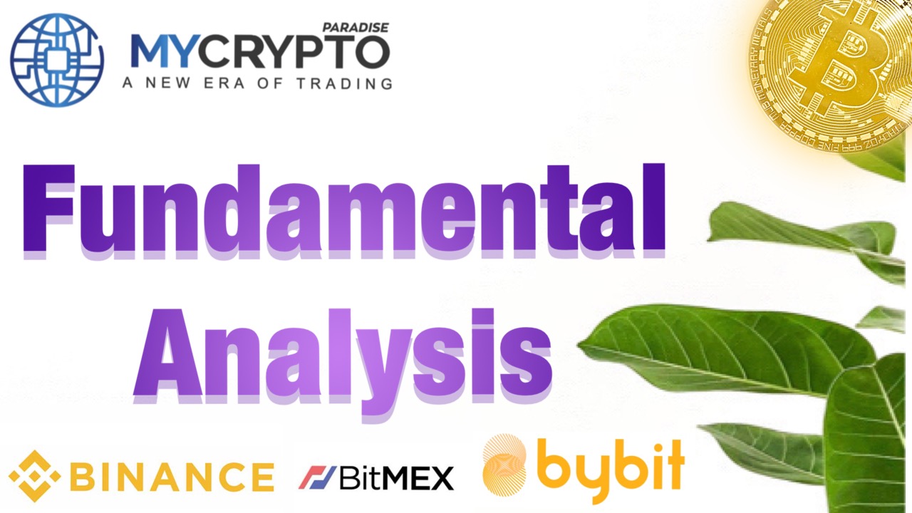 What are the Key Elements in Performing Fundamental Analysis of Cryptocurrency