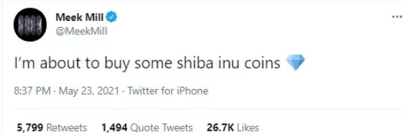 Shiba-Inu coins 