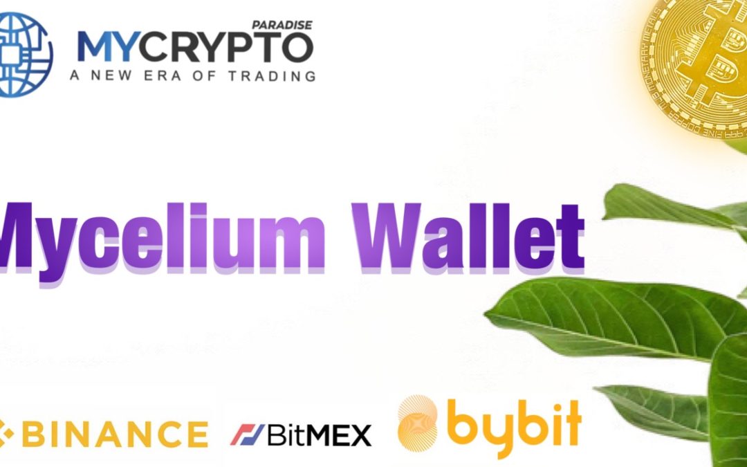 What is Mycelium Wallet? Everything you need to know about Mycelium Wallet
