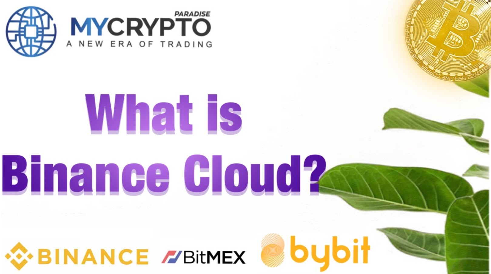 What is Binance Cloud? What are the benefits of using it?