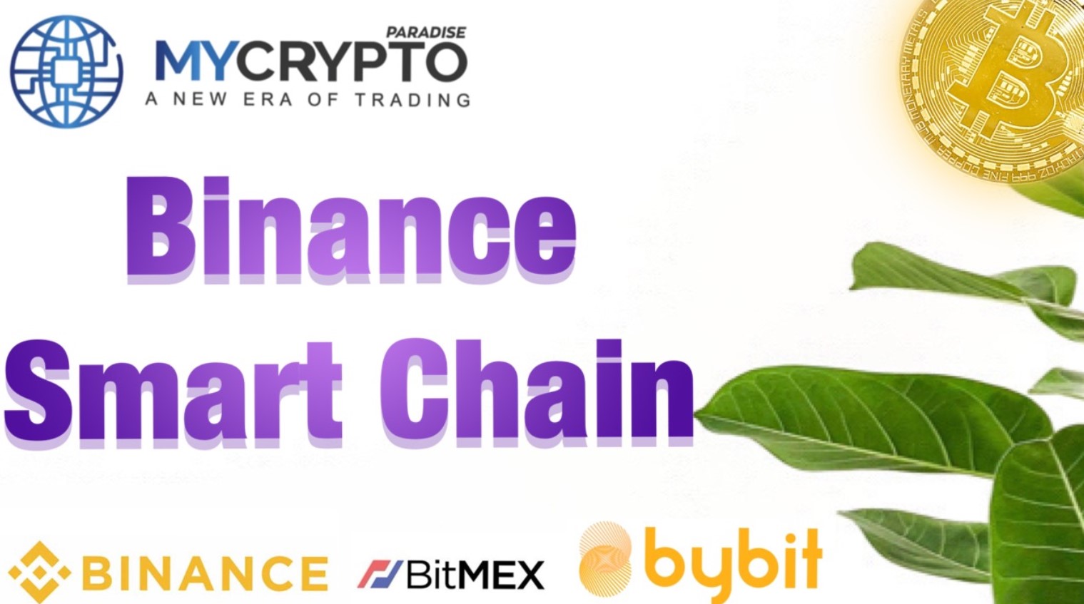 Everything You need to know about Binance Smart Chain