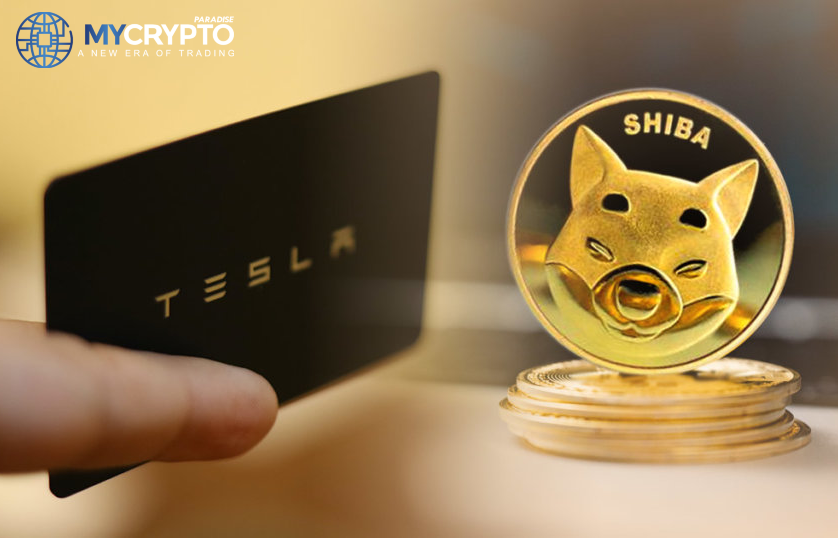 Tesla SHIB payment