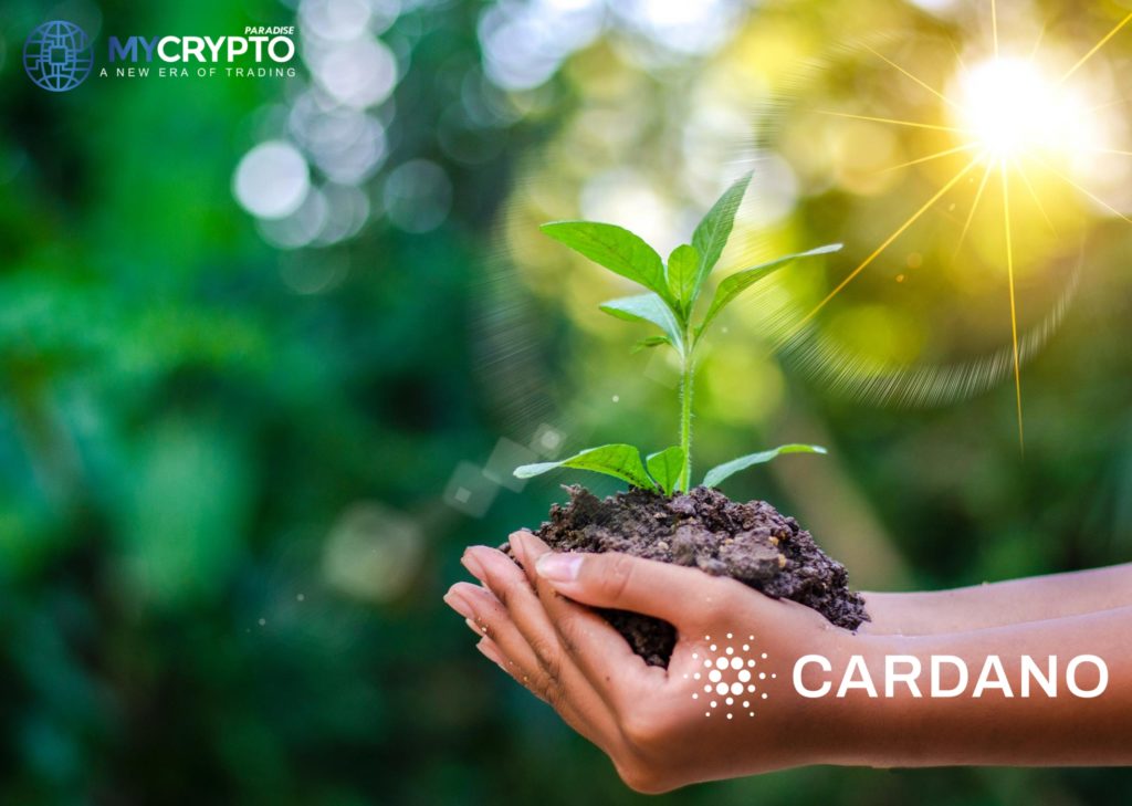 Cardano’s reforestation project