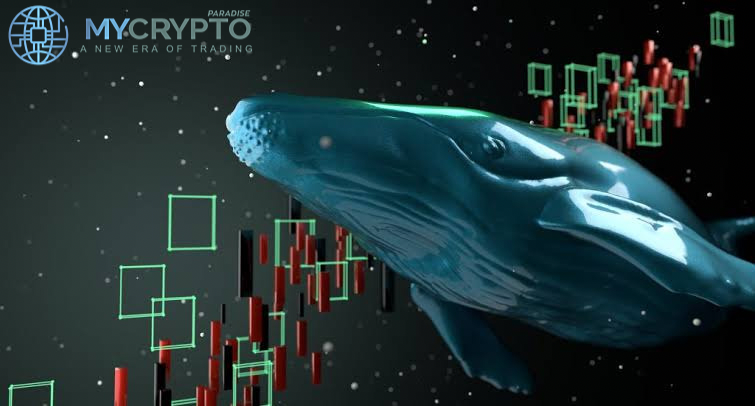 Solend Overturns Solana Whale Wallet Takeover in Another Governance Vote
