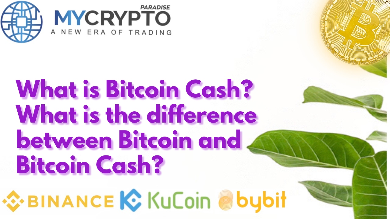 What is Bitcoin Cash? What is the difference between Bitcoin and Bitcoin Cash?