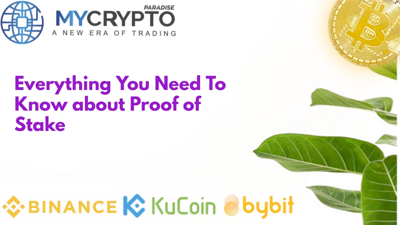 Everything You Need To Know about Proof of Stake