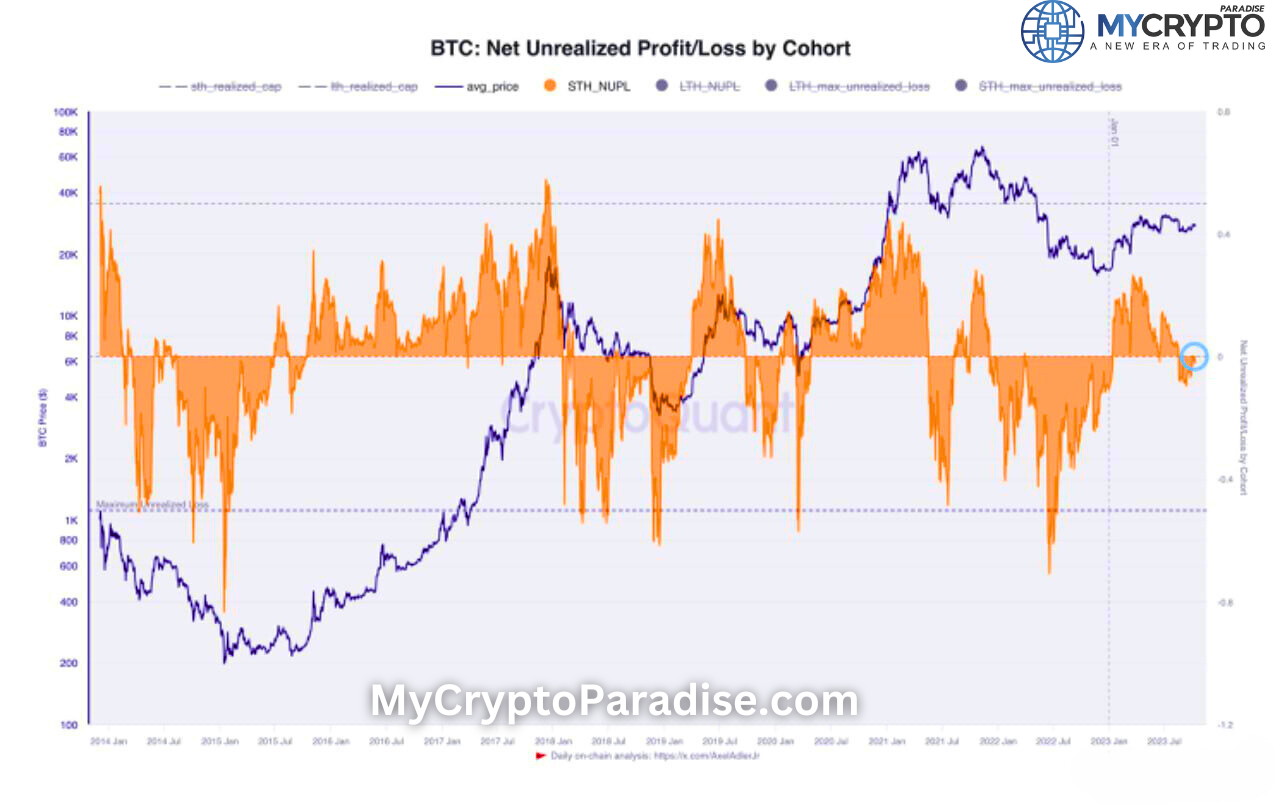 Short-term Holders