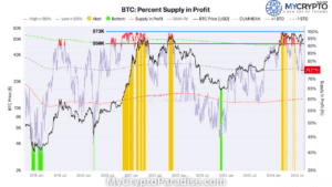 Bitcoin Supply