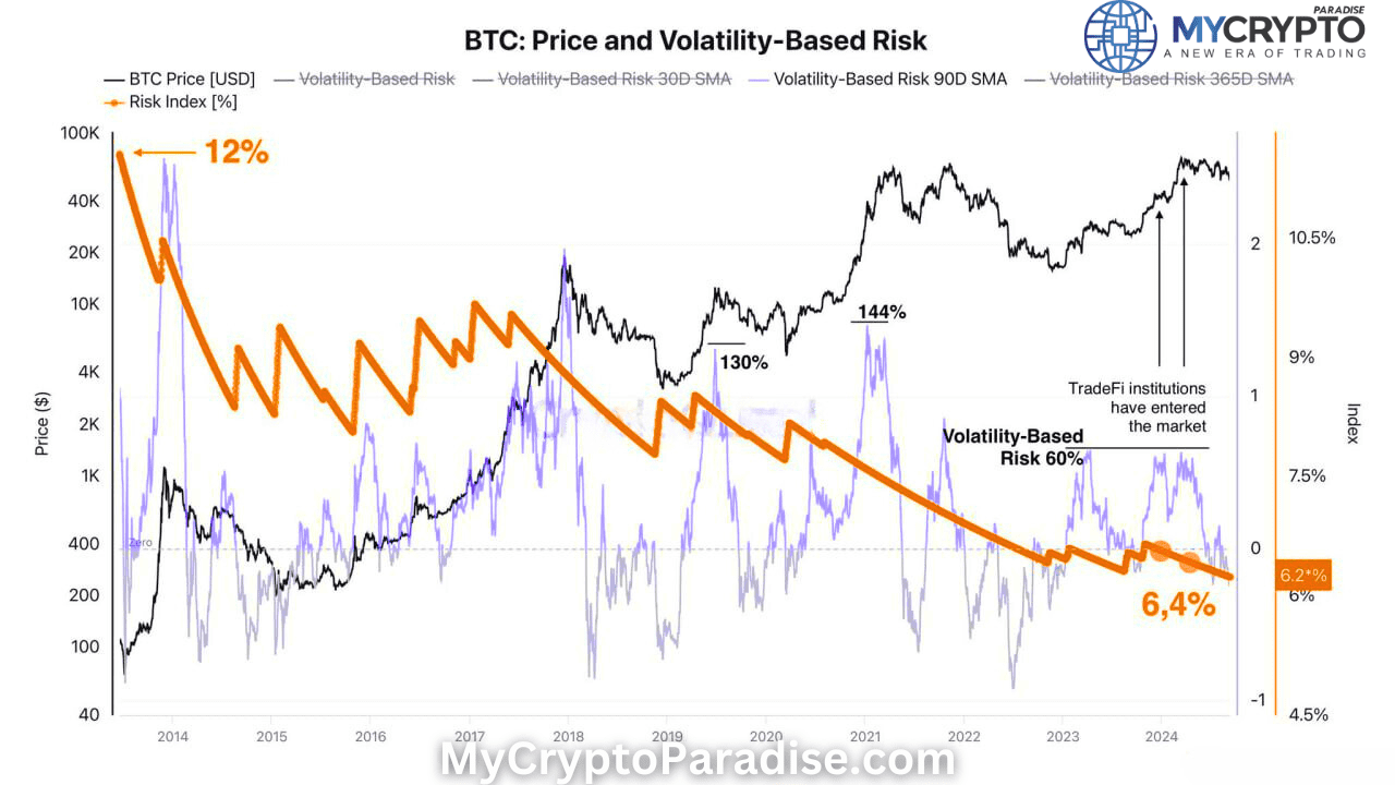 Bitcoin Risk Index