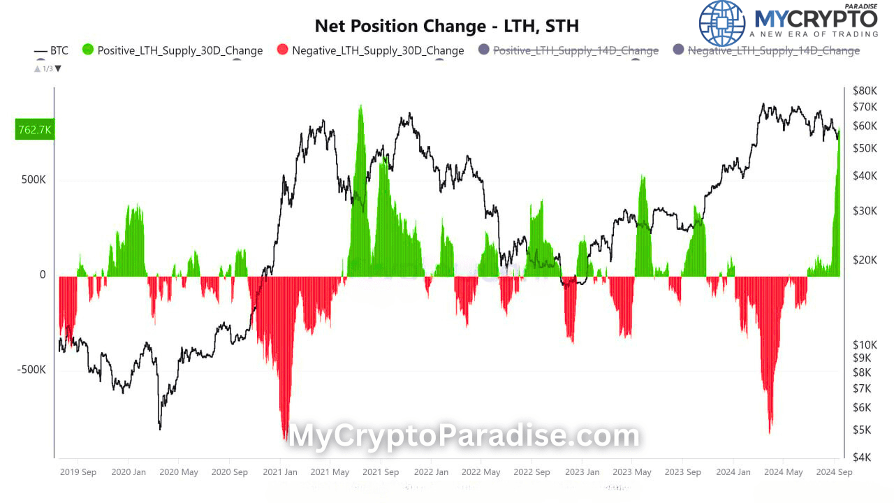 Long-term Holders