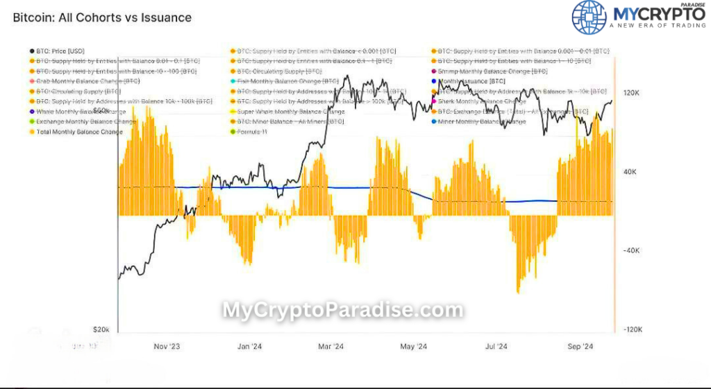 Bitcoin Accumulation