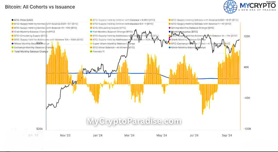 Bitcoin Accumulation