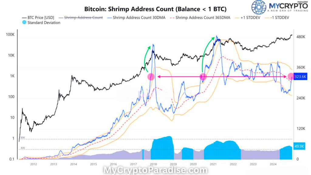 Bitcoin Growth