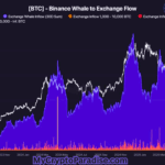 🪩Binance Whales are on the Move. What Should You Know?
