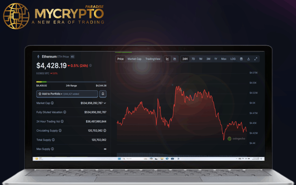 Top 8 altcoins