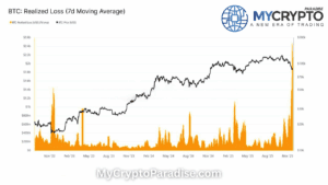 Bitcoin Realized Loss