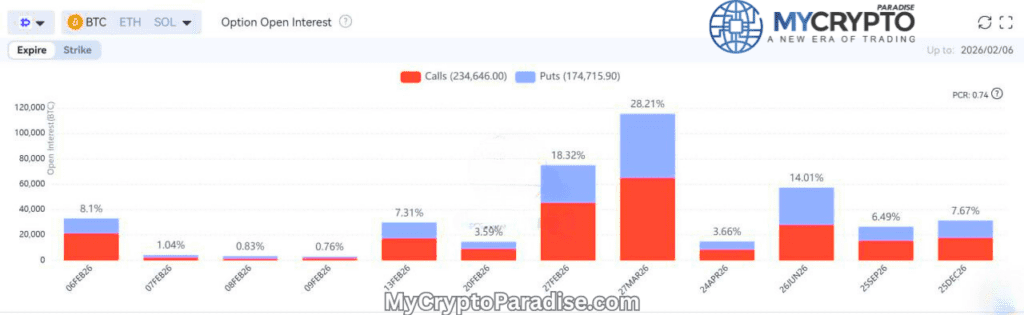 Bitcoin options expiry