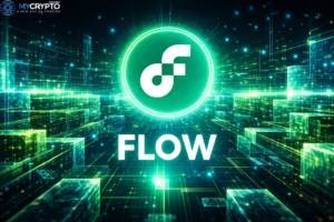 Flow Q4 2025