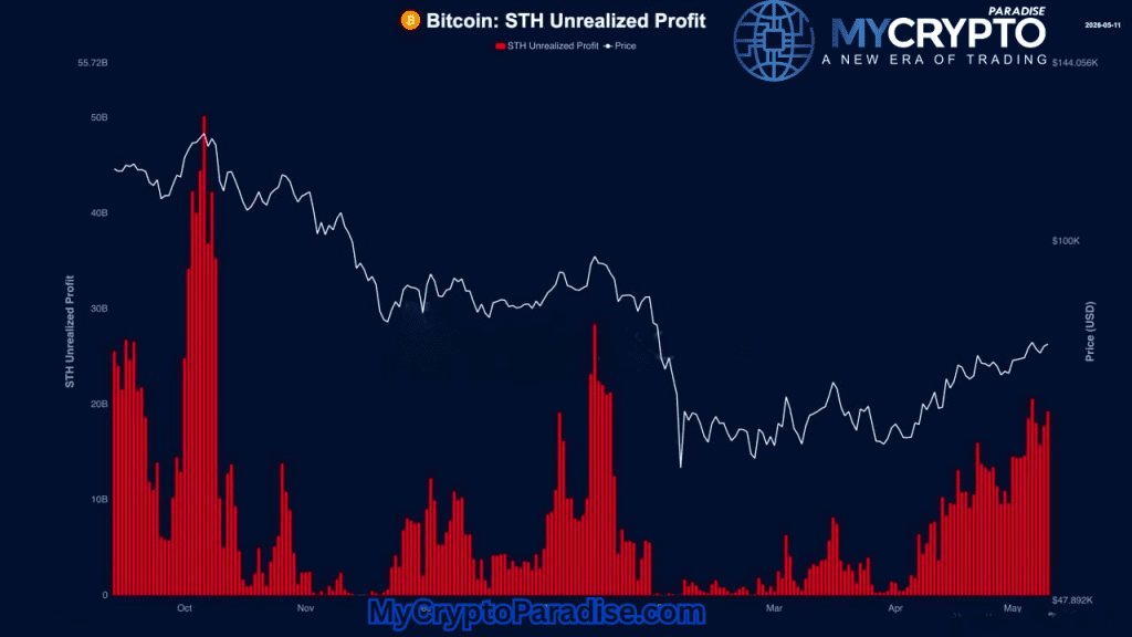 Bitcoin STH Profit