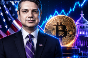 US Lawmakers Push 20 Year Bitcoin Reserve Plan 