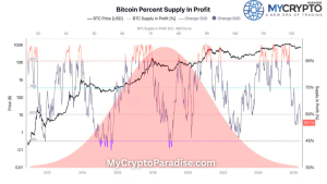 Bitcoin Supply in Profit