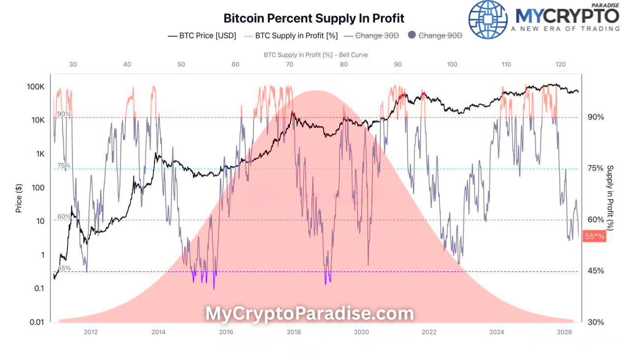 Bitcoin Supply in Profit