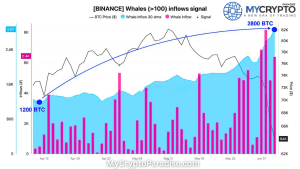 whale inflows