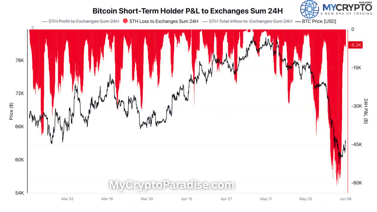 Bitcoin Short-Term Holders