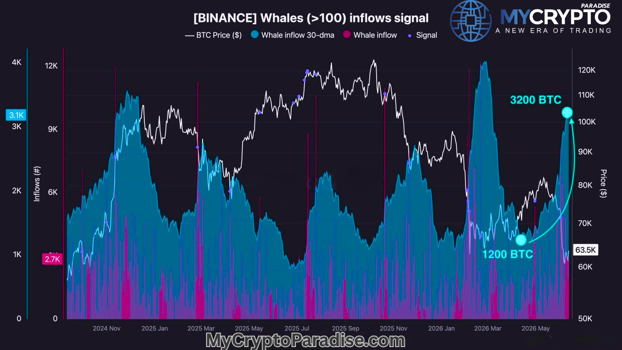 Bitcoin Whale Activity