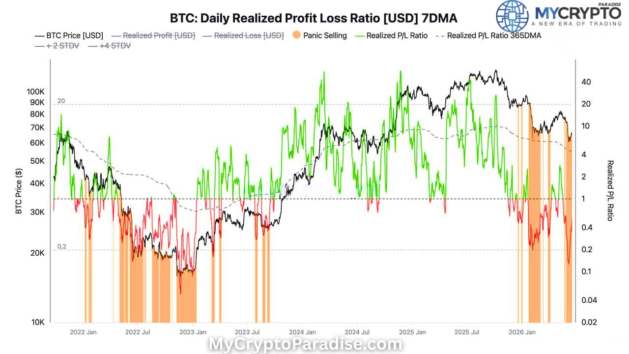 Bitcoin Panic Selling