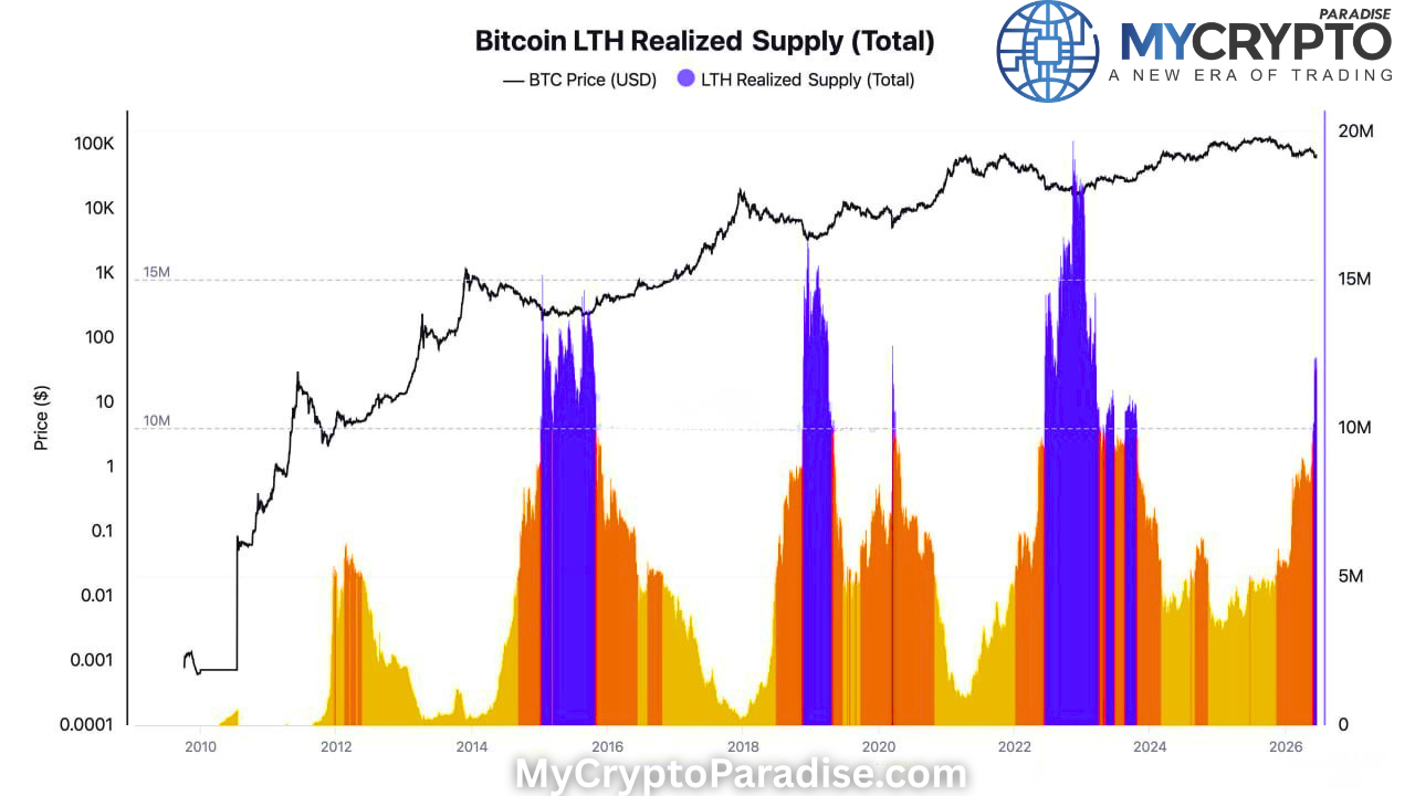 Bitcoin Long-Term Holders