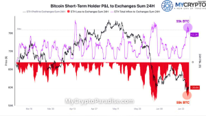 55,000 BTC Flood Exchanges as Smart Money Accumulates
