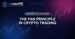 THE FAN PRINCIPLE IN CRYPTO TRADING - MyCryptoParadise