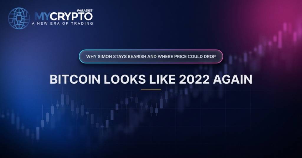 Bitcoin Looks Like 2022 Again · MyCryptoParadise