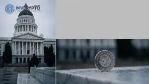 California bans public officials from issuing meme coins