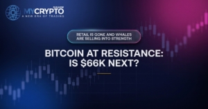Bitcoin at Resistance: Is $66K Next? ParadiseTeam Recap