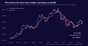 Bitcoin sits above its short-term-holder cost basis, yet half those coins are underwater
